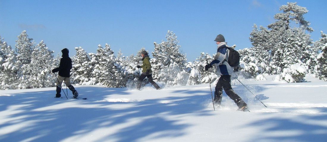 CF65924B F700 479A B85C 492E3B474A00