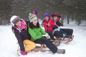 Schnee, Winter, Team, Schwarzwald, Freizeit